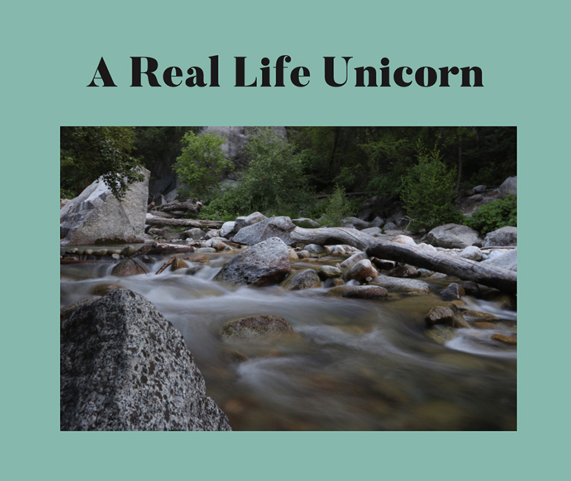Book by Rohan Kumar